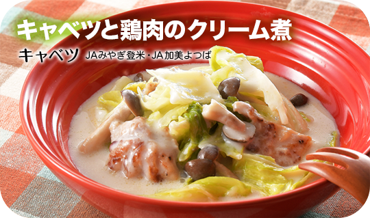 最新のふるさとレシピ２