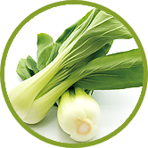 ＪＡが生産する農畜産物