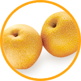 ＪＡが生産する農畜産物