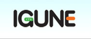 Company Name
